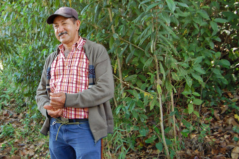 Rodrigo Perefan - Finca Las Piedras